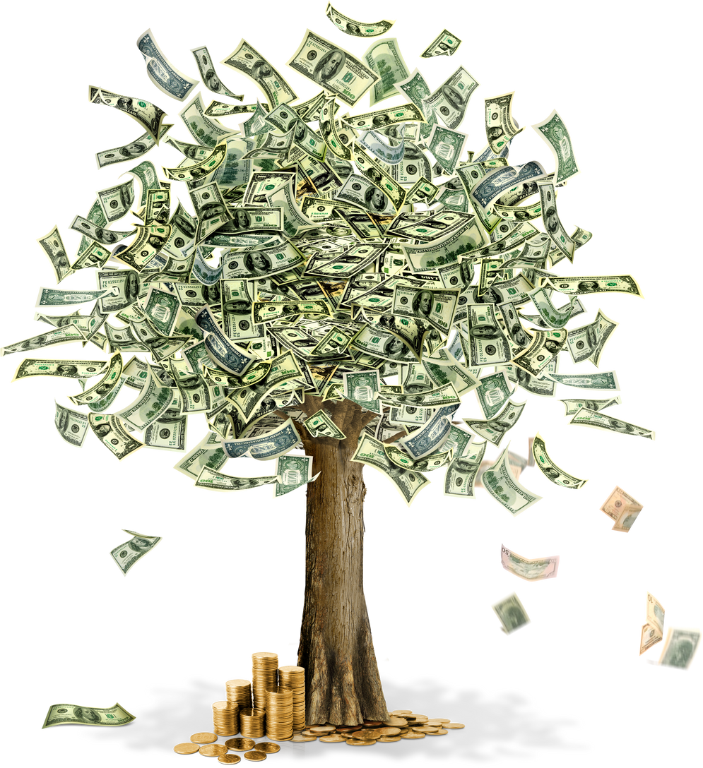 Money Tree Illustration